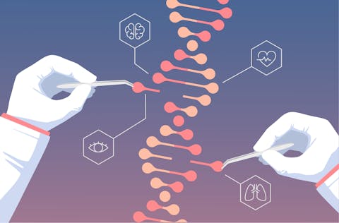 CRISPR-Cas is een techniek waarmee je het DNA kunt aanpassen van levende wezens. Een diagram die CRISPR-Cas weergeeft. Dit is een moderne techniek waarmee wetenschappers DNA van levende wezens nauwkeurig kunnen aanpassen.