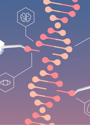 Een diagram die CRISPR-Cas weergeeft. Dit is een moderne techniek waarmee wetenschappers DNA van levende wezens nauwkeurig kunnen aanpassen.