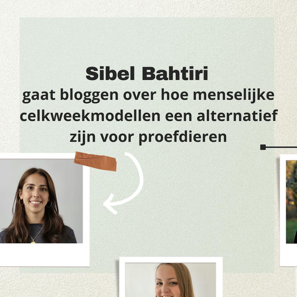 12 nieuwe Faces met Sibel Bahtiri op de voorgrond