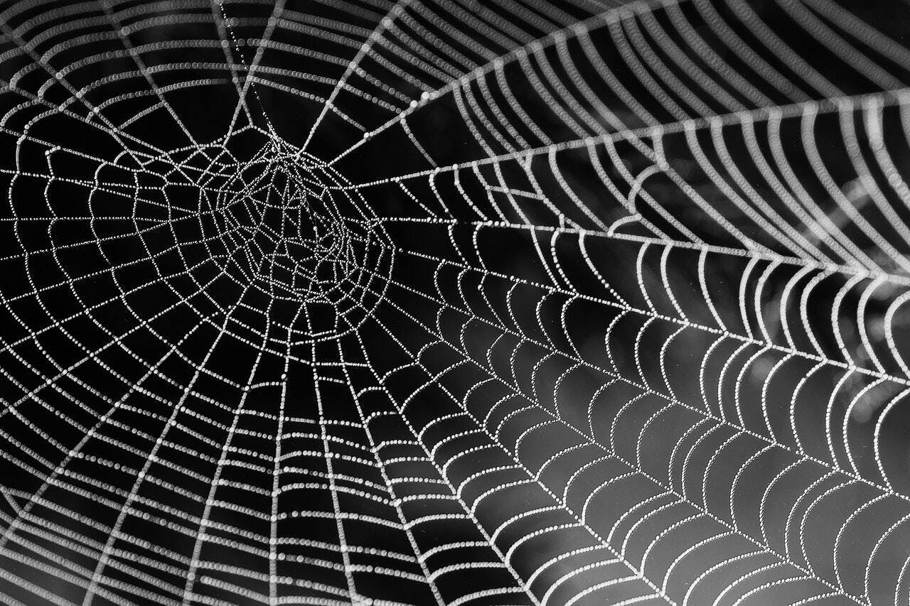 Een zwart-witfoto van een spinnenweb.