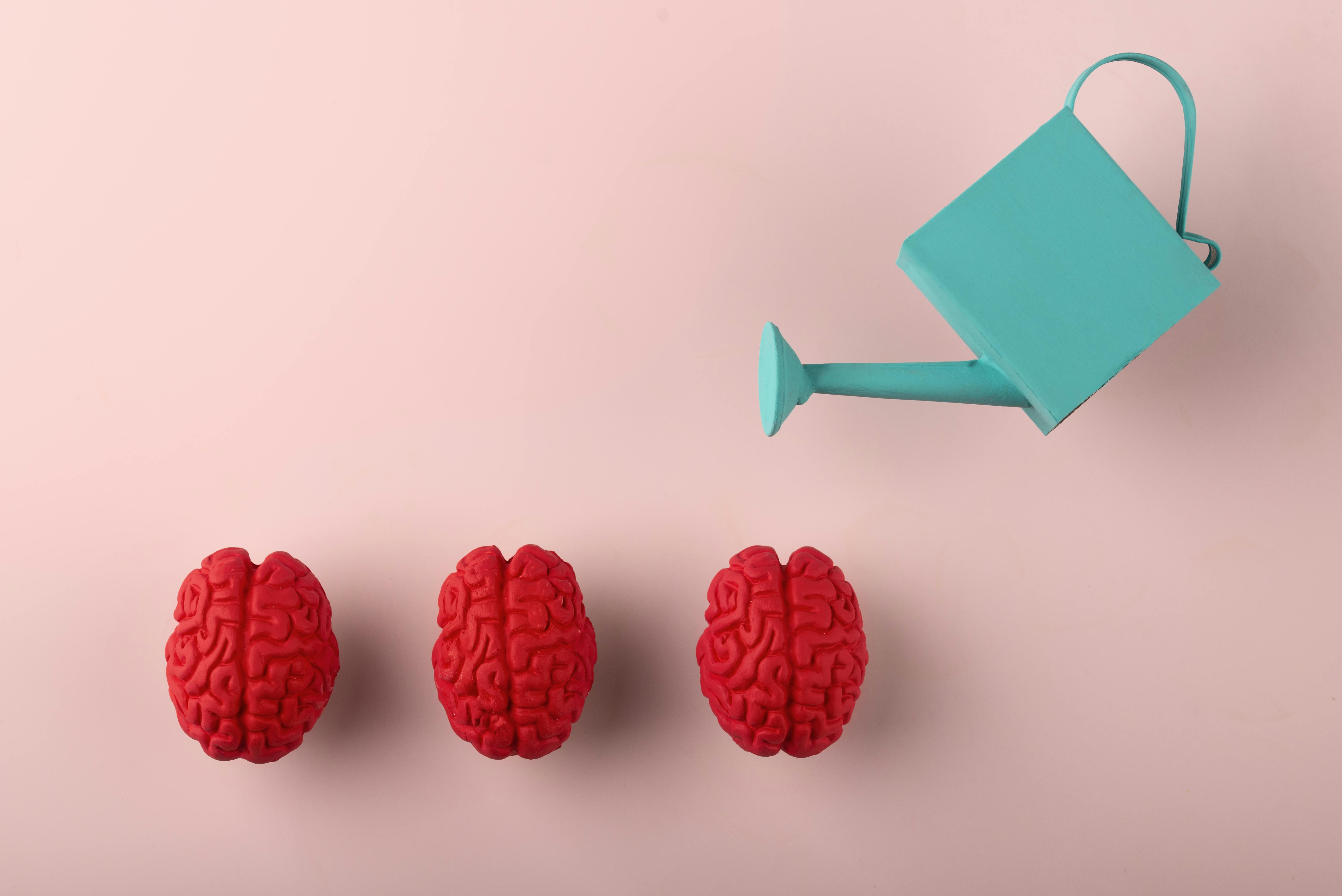 een blauwe gieter bevochtigt roodroze hersenen