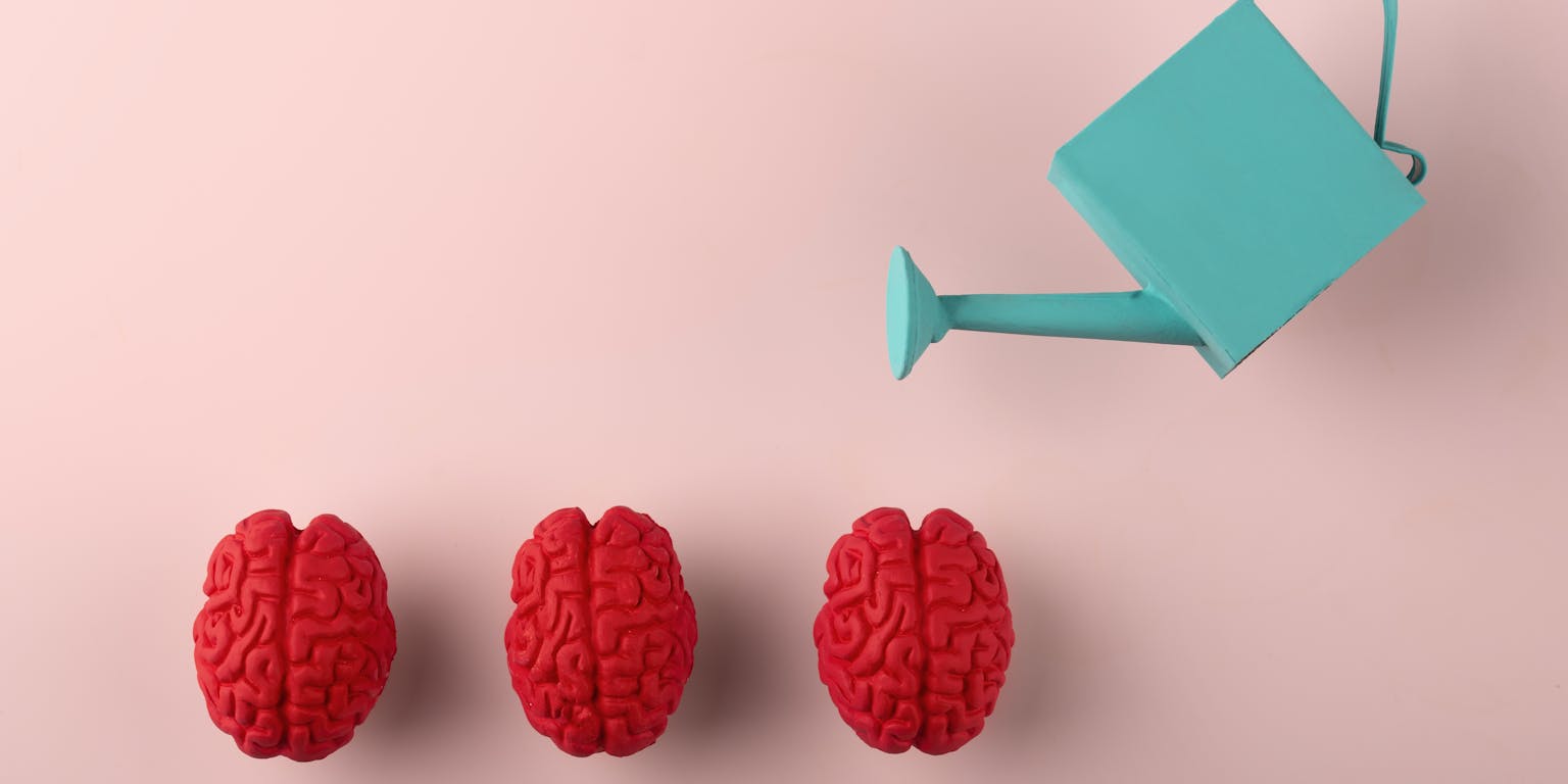 een blauwe gieter bevochtigt roodroze hersenen