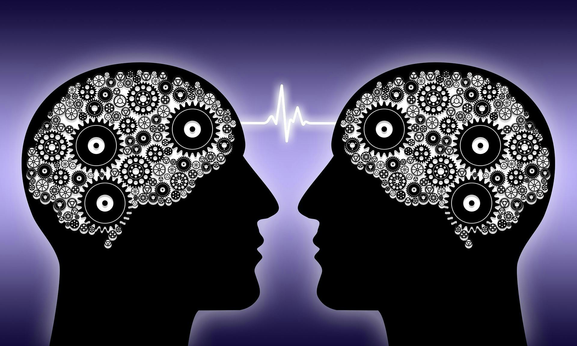 Twee hoofden met tandwielen in hun hoofd kijken elkaar aan