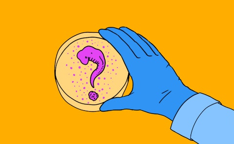 Een illustratie van een hand met een blauwe handschoen die een petrischaal vasthoudt. Op de schaal zijn paarse stipjes te zien en een vraagteken in dezelfde kleur.