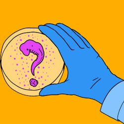Een illustratie van een hand met een blauwe handschoen die een petrischaal vasthoudt. Op de schaal zijn paarse stipjes te zien en een vraagteken in dezelfde kleur.
