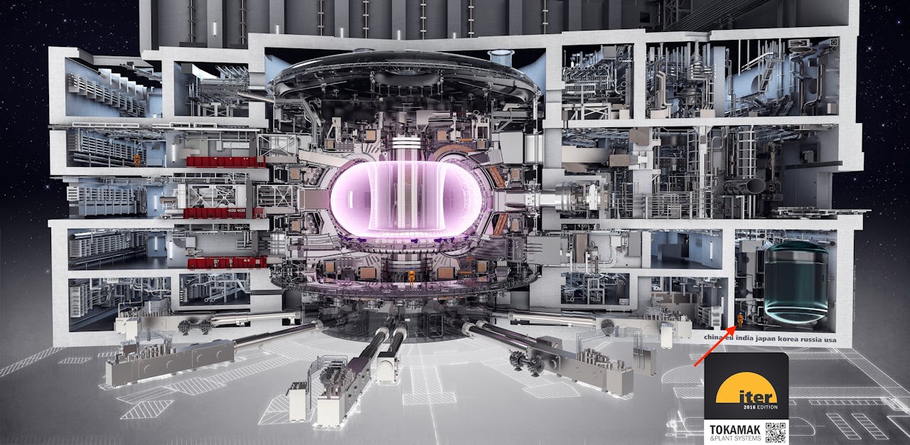De zogenoemde tokamak van kernfusiereactor ITER. In het donutvormige roze gebied zit het plasma waar de kernfusie plaatsvindt. De rode pijl rechtsonder wijst een persoon op schaal aan.