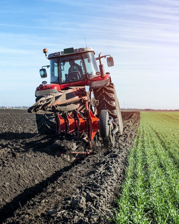 Landbouw Landbouw