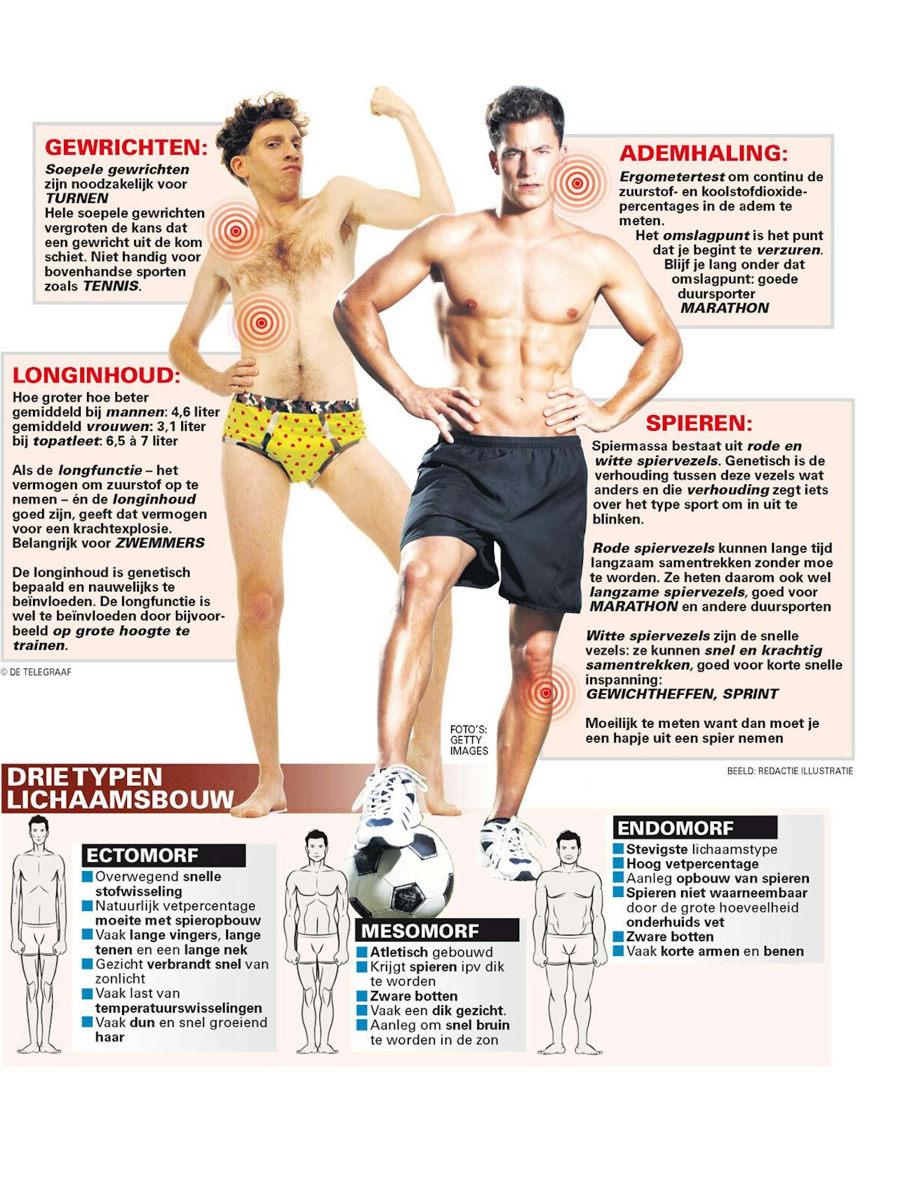 Een poster over drie typen lichaamsbouw. Er staan twee personen op de poster.