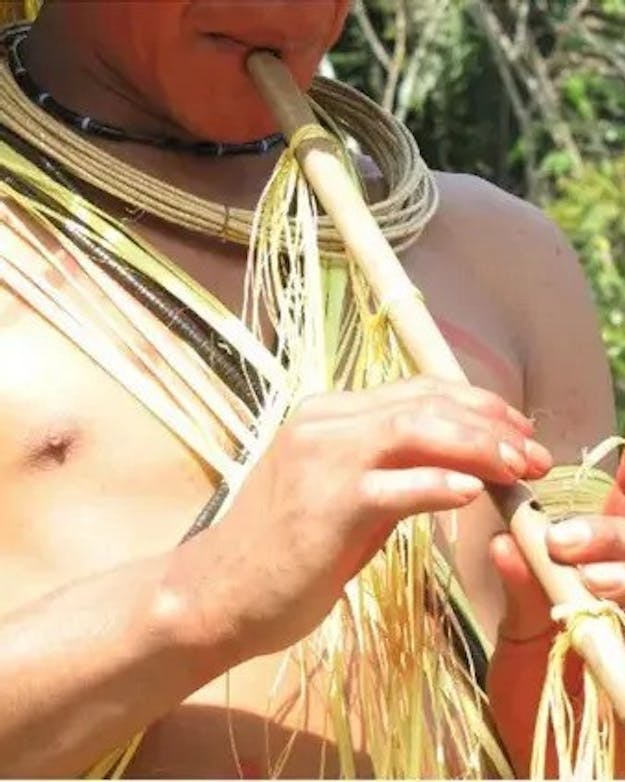 De kotiráp is een fluit met vier tonen, waarmee de Gavião, die leven in het Braziliaanse Amazonegebied, boodschappen overbrengen Man bespeelt een bamboe fluit